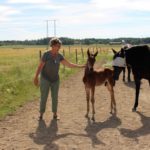 Inför V75 – 82 år ung fortsätter Solvallatränaren