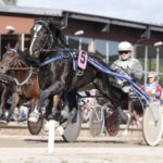 Fyra av åtta lopp på V86 är kallblodslopp