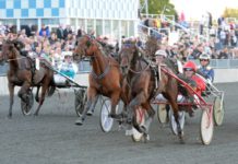 Inför V86 – Första starten i Jan-Åke Hoas regi