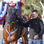 Sommartravet och V75 drar vidare till Bollnäs