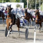 St. Michel-Ajo 1609 meter på söndag