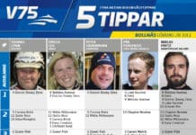 Fem tippar V75 till Bollnäs 28 juli 2018 Fem tippar V75 till Bollnäs 28 juli 2018