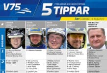 Fem tippar V75 till ÅBY 11 augusti 2018 Fem tippar V75 till ÅBY 11 augusti 2018