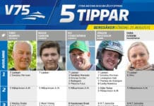 Fem tippar V75 till Bergsåker 25 augusti 2018 Fem tippar V75 till Bergsåker 25 augusti 2018
