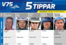 Fem tippar V75 till Solvalla 29 september 2018 Fem tippar V75 till Solvalla 29 september 2018