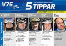 Fem tippar V75 till Hagmyren 15 september 2018 Fem tippar V75 till Hagmyren 15 september 2018