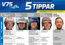 Fem tippar V75 till Solänget 8 september 2018 Fem tippar V75 till Solänget 8 september 2018