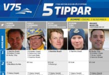Fem tippar V75 till Romme 3 november 2018 Fem tippar V75 till Romme 3 november 2018