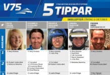 Fem tippar V75 till Skellefteå 6 oktober 2018 fem skellefteå tippar