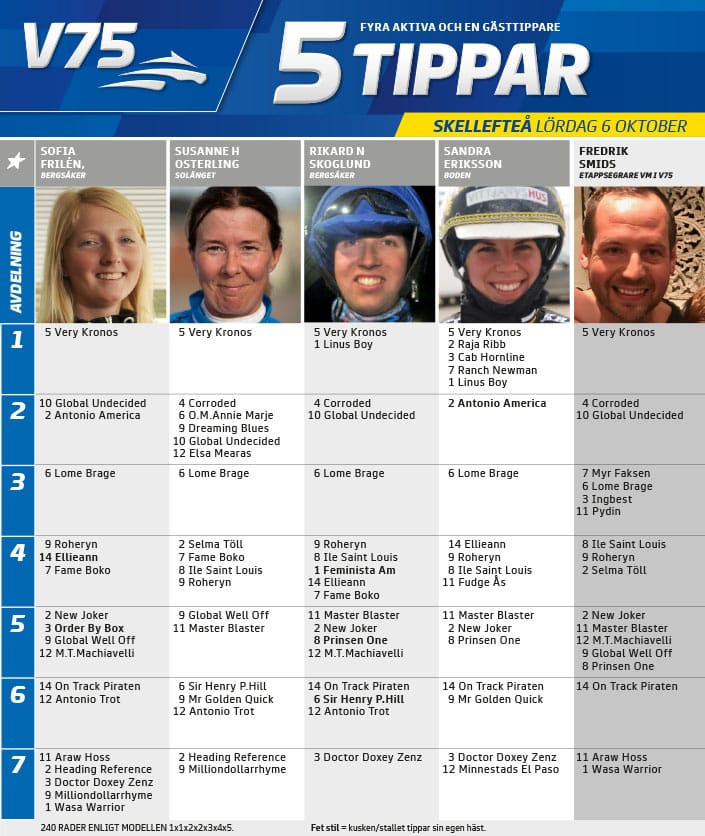 fem skellefteÃ¥ tippar