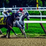 Allt om trav ATG lanserar casino