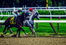 Allt om trav ATG lanserar casino