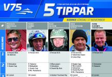 Fem tippar V75 till Bjerke 17 november 2018 Fem tippar V75 till Bjerke 17 november 2018