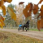 Mofaksan går mot sin bästa säsong hittills Mofaksan går mot sin bästa säsong hittills