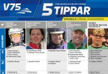 Fem tippar V75 till Solvalla Lördag 24 november 2018 Solvalla Lördag 24 november