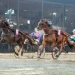 Eftersnack V75 Jägersro 1 december belker och bythebook