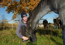Nu känns det långsökt med Elitloppet Nu känns det långsökt