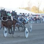 Inför GS75: Nästa start kan bli på Vincennes Nästa start kan bli på Vincennes