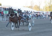 Inför GS75: Nästa start kan bli på Vincennes Nästa start kan bli på Vincennes