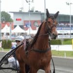 Twister Bi har gjort sin sista start Twister Bi har gjort sin sista start