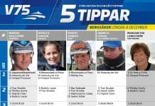 Fem tippar V75 till Bergsåker 8 december 2018 Fem tippar V75 till Bergsåker 8 december 2018