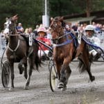 Sammanlagt fem hästar blev sjuka Sammanlagt fem hästar blev sjuka