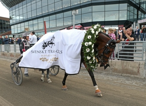 Darling Mearas flyttas till USA