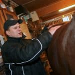 Inför V86: Ett litet stall fyllt med segerstaplare Ett litet stall fyllt med segerstaplare
