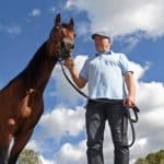 Readly Express klar för Elitloppet 2019 readly express elitloppet