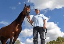 Readly Express klar för Elitloppet 2019 readly express elitloppet