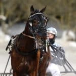 Segern i loppet var värd drygt 200 000 kronor Segern i loppet var värd drygt 200 000 kronor