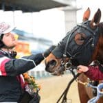 Inför V75: Stallet har form igen Stallet har form igen
