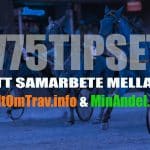 V75 Analys & Ranking inför Halmstad 2 mars 2019 V75 TIPS ALLTOMTRAV.INFO