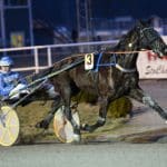 V75 Axevalla 16 februari 2019 – Eftersnack V75 Axevalla 16 februari 2019 - Eftersnack