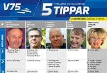 Fem tippar V75 till Halmstad Lördag 2 mars 2019 Fem tippar V75 till Halmstad Lördag 2 mars 2019