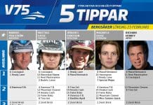 Fem tippar V75 Bergsåker Lördag 23 februari 2019 Fem tippar V75 Bergsåker Lördag 23 februari 2019