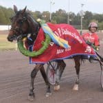 Cyber Lane 2019 (”Elitloppet drömmer man också om”) Dagens stjärna: Cyber Lane