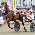 Inför V75 Momarken: Lionel N.O. tillbaka i Norge Lionel N.O. tillbaka i Norge