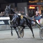Millondollarrhyme till Elitloppet 2019 Milliondollarrhyme årsdebuterar