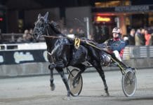Millondollarrhyme till Elitloppet 2019 Milliondollarrhyme årsdebuterar
