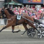 Inför Elitloppet 2019: Sexårige Dijon är tredje häst in Sexårige Dijon