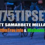 V75 Tips, Analys och Ranking till Umåker Lördag 13 april 2019 atg tillsammans