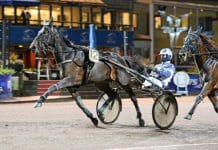 Inför Grand Slam V75 med Sofia Aronsson Inför Grand Slam V75 med Sofia Aronsson