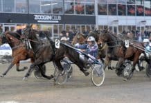 Inför V86: Vilken utveckling! (sprungit in 435 000 kronor på åtta starter) budets lasse