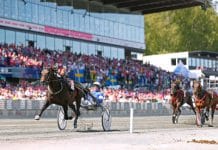 Elitloppshelgens speciella Speedrace förändras 2019 Elitloppshelgen speciella Speedrace
