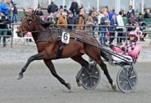 Robert Bergh inför V86: ”Han har kapacitet för att vara med i Elitloppet” muscle hustle