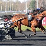 Inför Elitloppet 2019: Sjunde hästen inbjuden Inför Elitloppet 2019: Sjunde hästen inbjuden