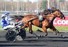 Inför Elitloppet 2019: Sjunde hästen inbjuden Inför Elitloppet 2019: Sjunde hästen inbjuden