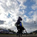 JACKPOT V75 Romme: Formkurvan pekar uppåt formkurvan pekar uppåt