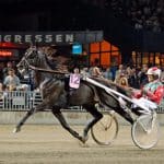 Dansk elitloppshäst har tävlat färdigt Dansk elitloppshäst har tävlat färdigt
